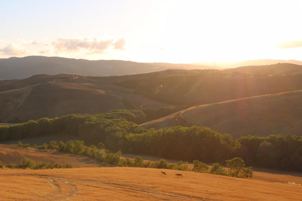 Agriturismo Fattoria Lischeto Вольтерра Екстер'єр фото